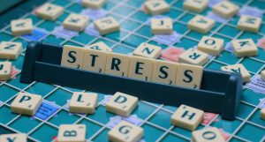 impact of stress