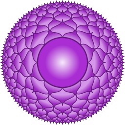 Connecting with the Divine: Awakening the Crown Chakra
